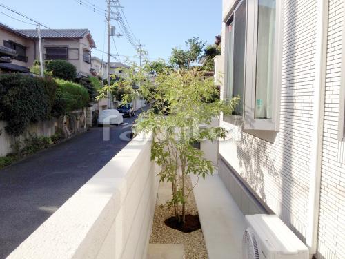 施工例 堺市 シンボルツリー アオダモ 落葉樹 植栽シンボルツリー アオダモ 落葉樹 植栽