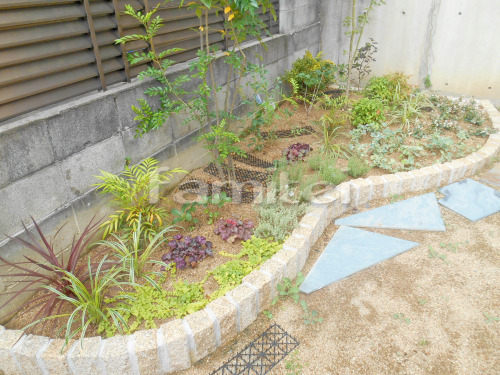 下草 低木 植栽 ピンコロ石花壇 サビミカゲ