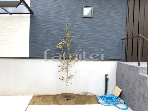 枚方市 新築ベーシック オープン外構 シンボルツリー ハナミズキ(白) 落葉樹 植栽